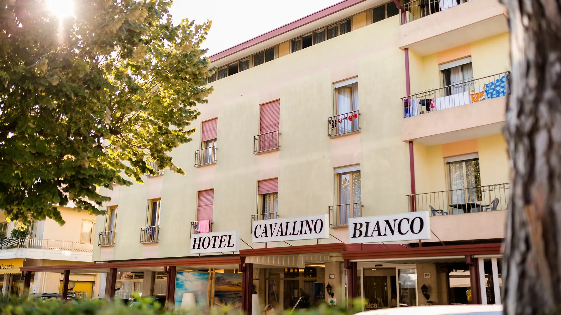 Hotel Cavallino Bianco