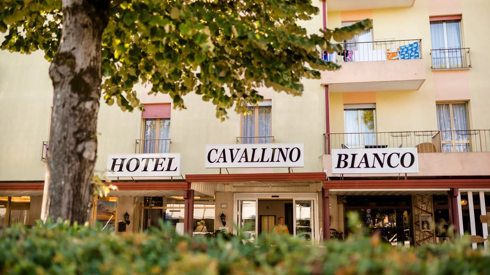 Hotel Cavallino Bianco Cavallino-Treporti