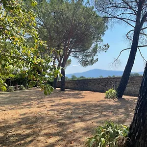La Selva Arezzo